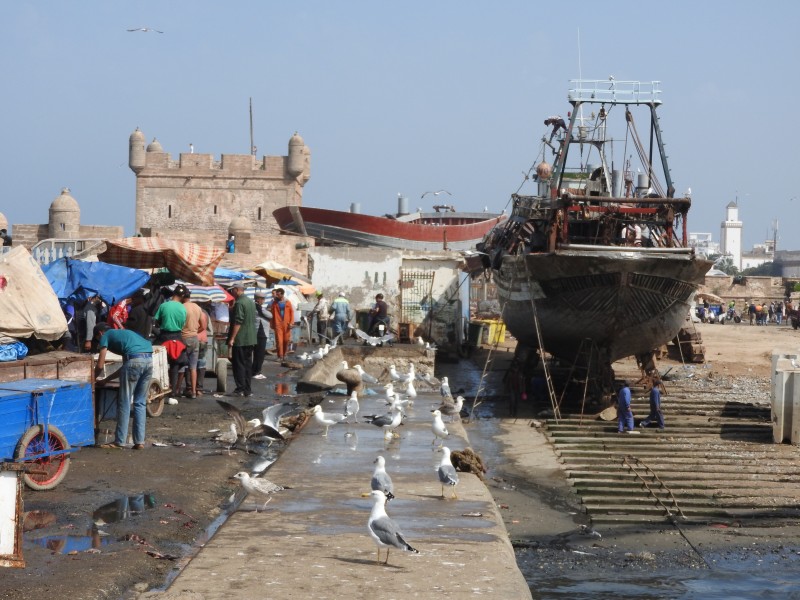 52 Escursione Ad Essaouira